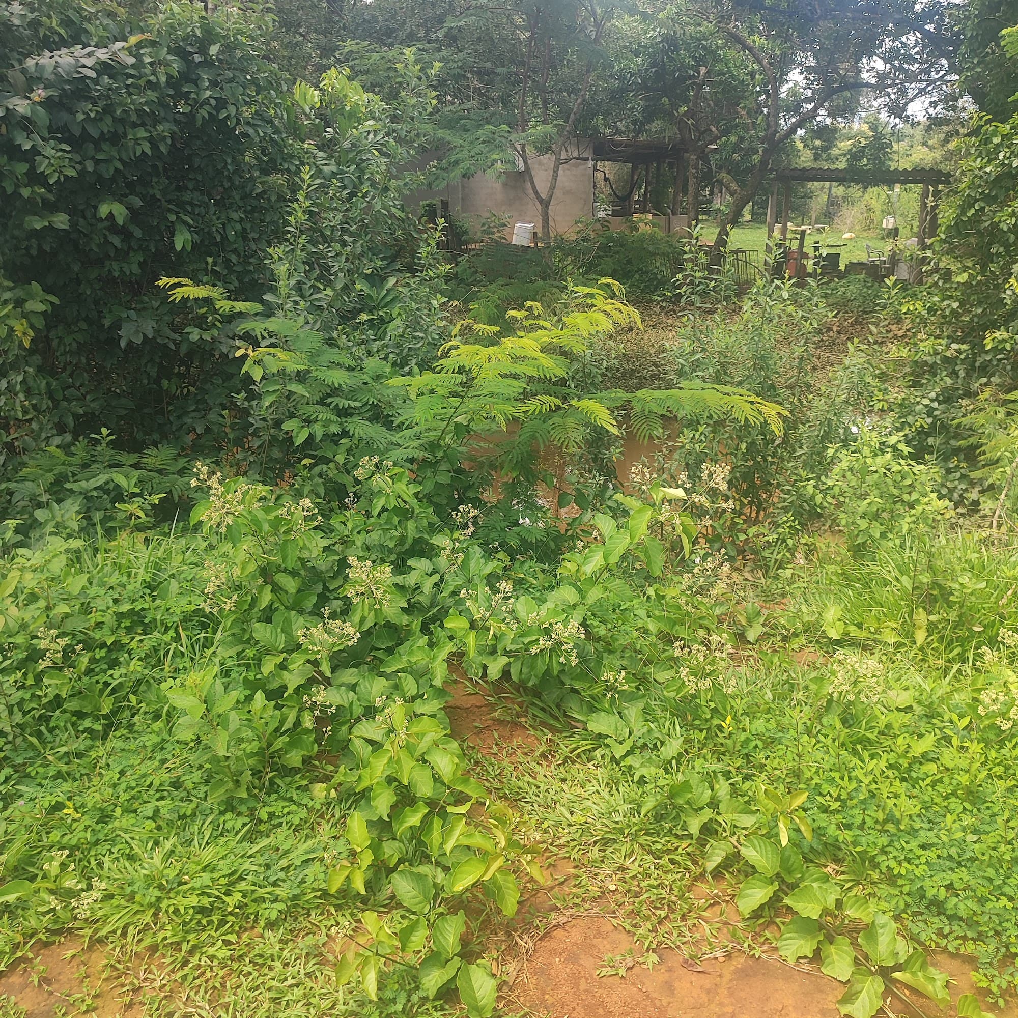 Terrenos de 870 a 1240m² em Sto. Antônio de Goiás